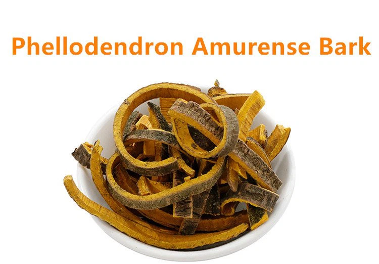 Phellodendron Amurense Bark Extract.png